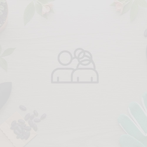 team__